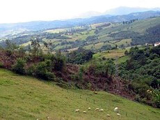 Foto do Relato