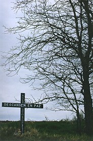 Foto Album