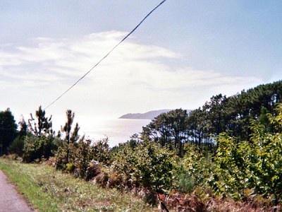 Foto Album