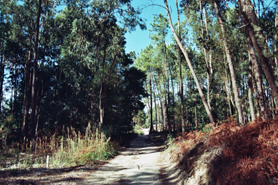 Foto Album