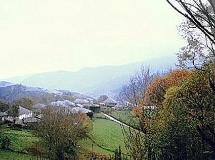 Foto Album