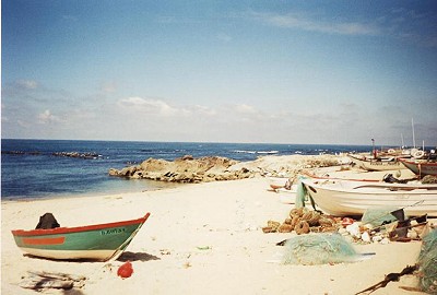 Foto Album