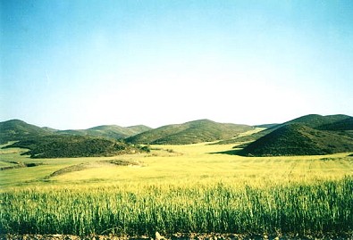 Foto Album