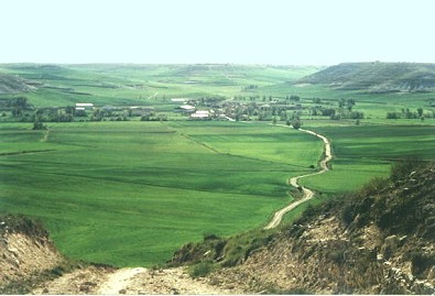 Foto Album