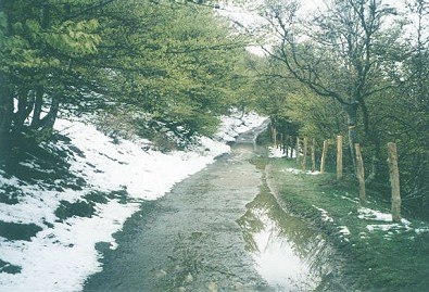 Foto Album