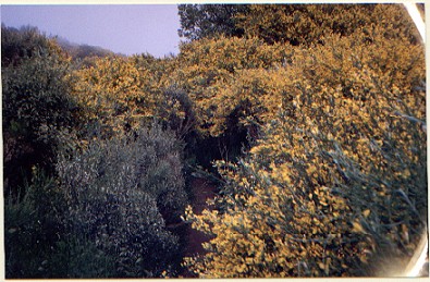 Foto Album
