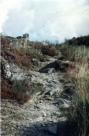 Foto Album