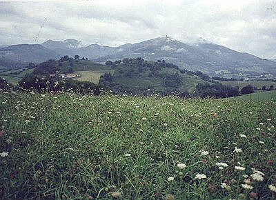 Foto Album