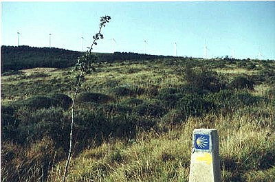 Foto Album