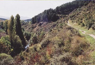 Foto Album