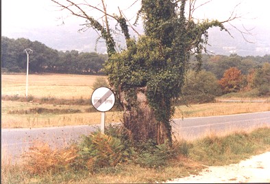Foto Album