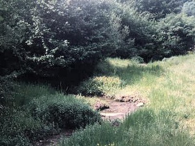 Foto Album