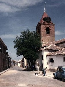 Foto Album