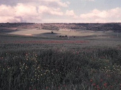 Foto Album