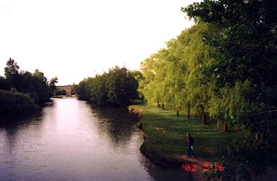 Foto Album