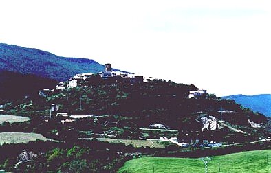Foto Album