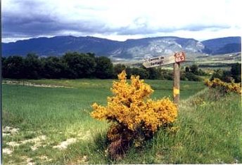 Foto Album