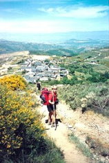 Foto Album