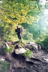 Foto Album
