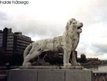 Foto Album