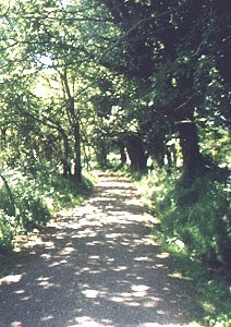 Foto Album
