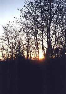 Foto Album