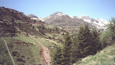 Foto Album