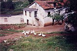 Foto Cadmo